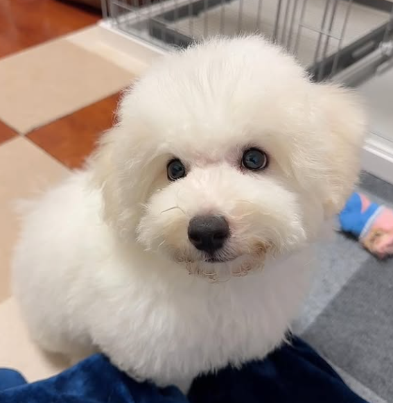 ○○ちゃんのお悩み改善後の写真